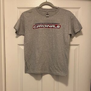 Gildan Gray Saginaw Valley State University Cardinals Tee